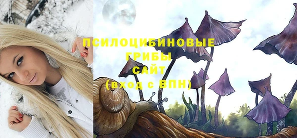 Альфа ПВП Алзамай
